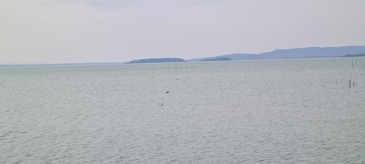 Appartamento Lago Trasimeno - Torricella Pg Dış mekan fotoğraf
